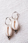 Cowrie Shell Hoops