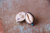 Cowrie & Turquoise studs