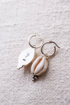 Cowrie Shell Hoops