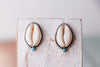 Cowrie & Turquoise studs