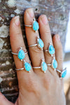 Dainty Darlin'
